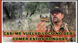 AVENTURA NÚMERO 464 ESTO ME PASÓ POR COMER HONGOS   ALUCINÓGENOS