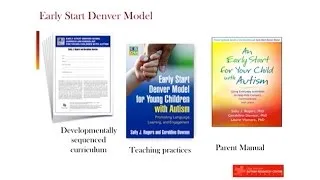 Feasibility Effectiveness and Outcomes - Early Start Denver Model Group-based Intervention