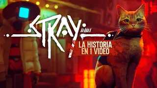 STRAY : La Historia en 1 Video (El videojuego del Michi)