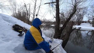 ФИДЕР ЗИМОЙ ! Рыбалка на английскую донку на реке в феврале . Фидерная ловля в конце зимы