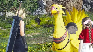 Cloud meets his Chocobo Piko - Final Fantasy 7 Rebirth