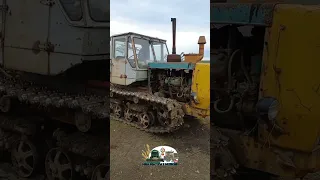 Антиквариат гусеничный трактор Т-150 закончил пахоту сада плугом ПЯ 3