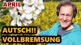 Honigtraum |  Schwarmzeit | Schneesturm | Gibt es Honig? | Imkern im April | Neues aus der Imkerei