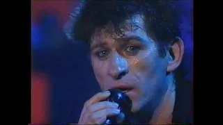 Hubert-Félix Thiéfaine - Bluesymental Tour - 1991 (VHS+CD-Rip)