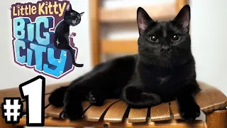 Little Kitty, Big City - Part 1 w/ Dani | Jiji Cat Simulator | Gameplay Walkthrough PC, Switch, Xbox