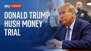 Watch live: Donald Trump's hush money trial continues in New York