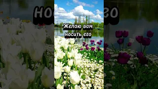 #жизнь #моменты #видео #мысли #счастье #женщина #позитив #словасосмыслом #слова#мотивация