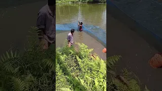 //na fuan fisinai fanbai//#viral#trending#fishfarming#subscribe#shorts