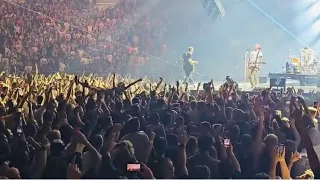 The BEST crowd reaction to Blink 182 - All the small things 2023?