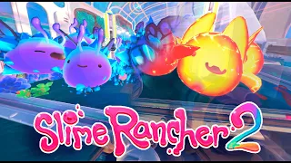 Slime rancher 2 #8 | Прохождение slime rancher 2 | Странные сочетания...