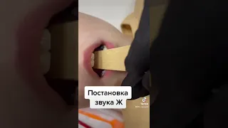 Постановка звука Ж