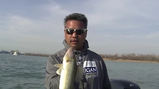 Detroit River Walleye Jigging