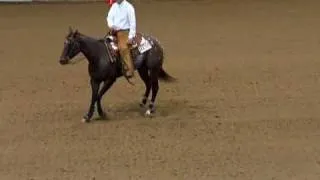 ApRHA Futurity 2008