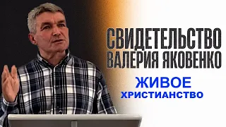 СВИДЕТЕЛЬСТВО, Живое христианство  - Вячеслав Бойнецкий
