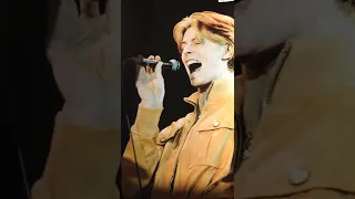 DAVID BOWIE STAY LIVE AT HALLENSTADION ZURICH SWITZERLAND 17-04-1976