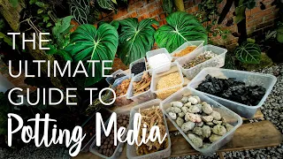 PART 1: ULTIMATE GUIDE to Potting Media: 13 types | Perlite vs Pumice, Cocopeat vs Peat Moss & more!