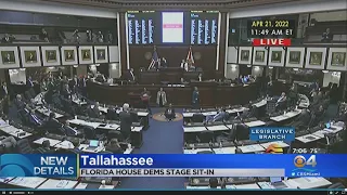 Florida House Redistricting Plan Passes As Democrats Stage Sit-In Protest