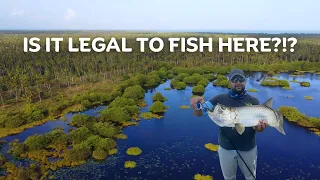 FISHING THE WETLANDS OF ICACOS! Adventure To Deep South, Trinidad - Inshore Fishing In The Swamp!