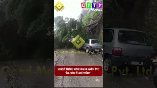Shimla: A tree fell near Corner Cafe in Sanjauli; vehicles were hit.