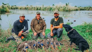 OPENING DUCK SEASON 2023 | WILD DUCK FOR THE FREEZER