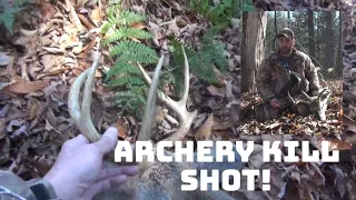 PA Game lands archery buck kill. Self filmed!