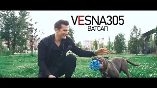 VESNA305 - ВАТСАП (клип)