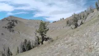 Alpine Running Montage: Taylor Mtn Jackson Hole