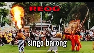 SINGO BARONG seni reog