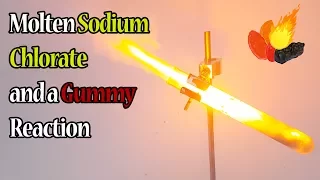 Screaming Gummy Bear Demonstration (Sodium Chlorate + Potassium Permanganate + Fruit Snack)