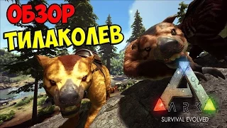 ТИЛАКОЛЕВ (ОБЗОР) ► Ark: Survival Evolved #9