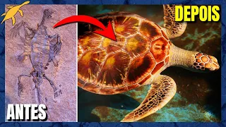 ORIGEM e EVOLUÇÃO das TARTARUGAS MARINHAS