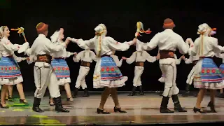 FEST DANCE LOVE SING LOVE ВЕСЕЛКА ВАСИЛЬКІВ танок Березнянка