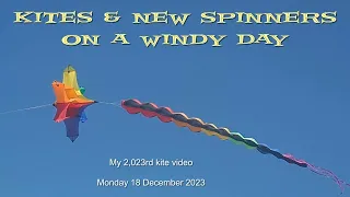Kites & new spinners on a windy day