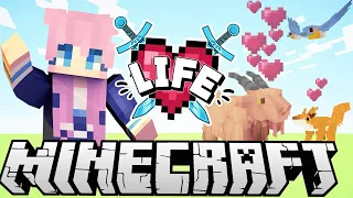 LDShadowLady, Pet Detective | Ep. 9 | Minecraft X Life SMP