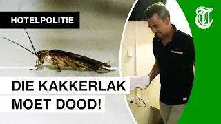 Kakkerlak in vieze hotelkamer Manuel - HOTELPOLITIE #12