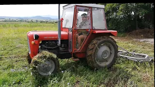 IMT 539 Drljacenje travljiva njiva - Driving Oldtimer Tractor - Massey Fergusson Fahren