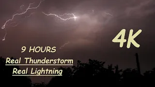 Real Thunderstorm Atmosphere & Rainstorm Sounds for Sleeping - Lightning in the background of trees