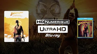 Indiana Jones & Le Royaume du Crâne de Cristal (Kingdom of the Crystal Skull): 4K Ultra HD v Blu-ray