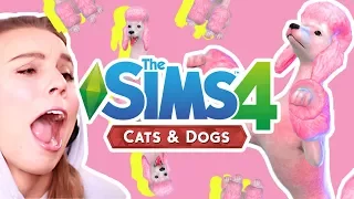 THE SIMS 4 CATS AND DOGS!  [ VET GAMEPLAY! ] Trailer Reaction!