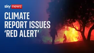 Climate report issues 'red alert' warning after record-breaking temperatures