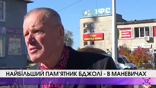 Найбільший пам’ятник бджолі - в Маневичах