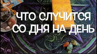 ЧТО СЛУЧИТСЯ со ДНЯ на ДЕНЬ✅ Таро Онлайн Расклад/ Таро DIAMOND WAY