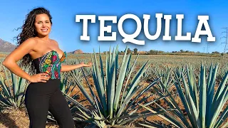 TEQUILA Jalisco The BEST and most COMPLETE tour Tequila Route