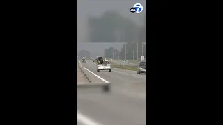 Man driving with bull in car pulled over in Nebraska