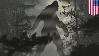 Bigfoot: Man fires gun over alleged sighting in Kentucky - TomoNews