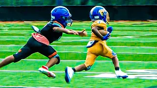 Southfield Falcons (MI) vs MAC Dolphins (NC)🔥🔥8U Youth Football | S. Hospitality