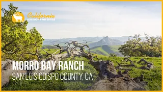 Amazing Coastal Ranch | Morro Bay Ranch, Morro Bay California