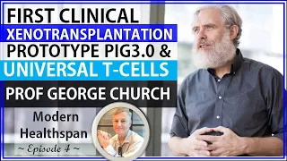 First Clinical Xenotransplantation Prototype Pig 3.0| Prof George Church Interview Series Episode 4