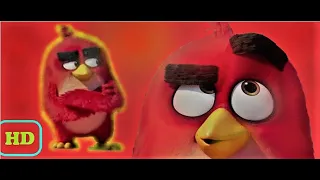 🐦Angry Birds  - Red's Eyebrows dance 💙