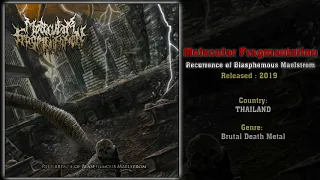 Molecular Fragmentation (THA) - Recurrence of Blasphemous Maelstrom (2019) Full Album